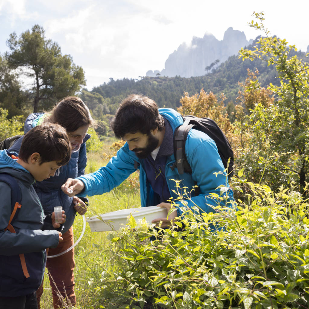 Bioblitz a Món Sant Benet